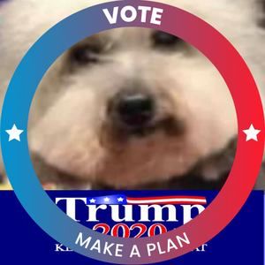 Meet your Posher, Joan